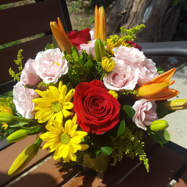 Colors of Summer category Summer $89 $99 $125