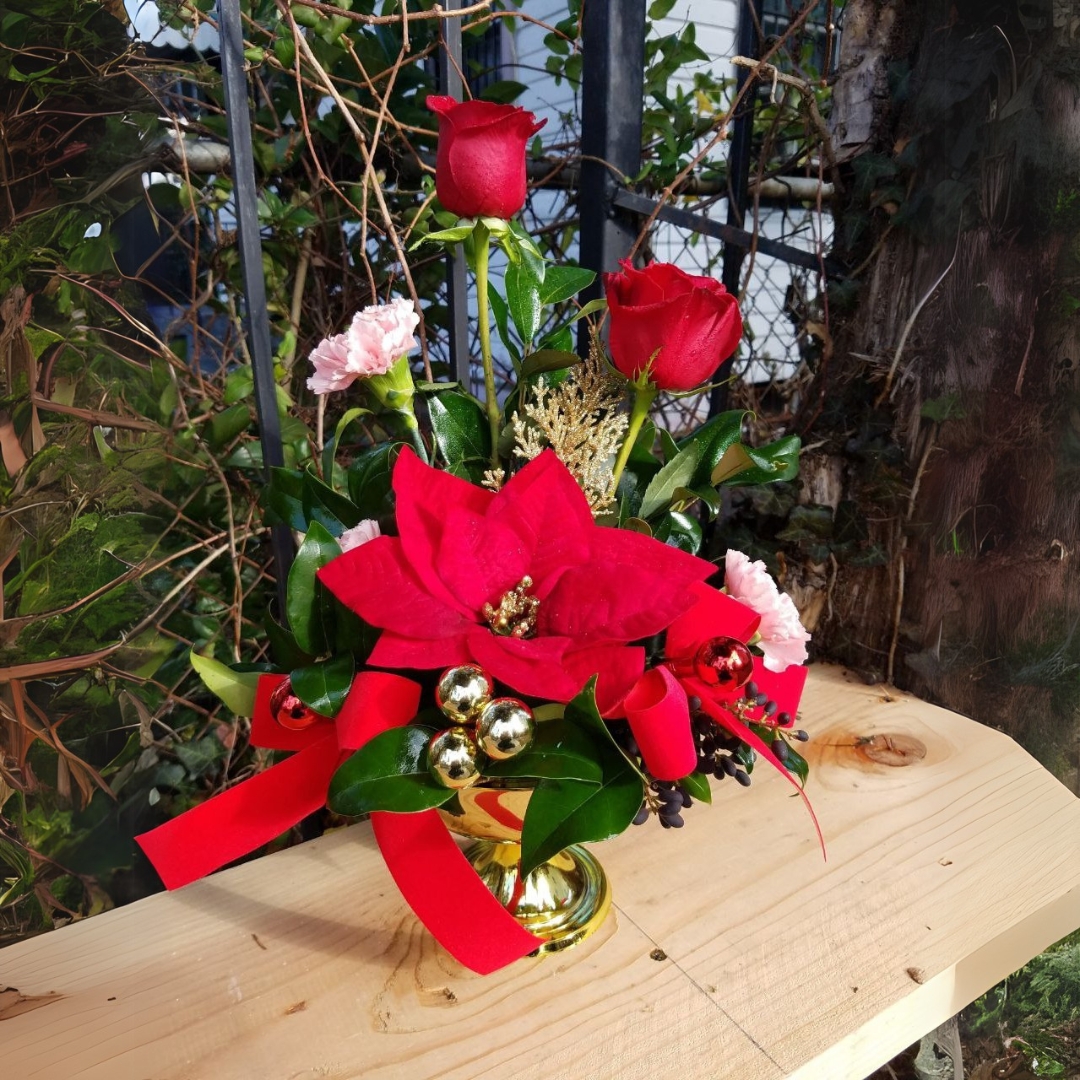 Petals and Vines cat Christmas $89 $95 $105